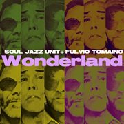 Wonderland (feat. fulvio tomaino) cover image