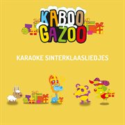 Karaoke sinterklaasliedjes cover image