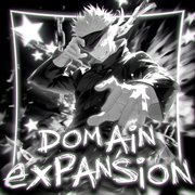 Domain Expansion cover image