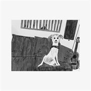 Bye Bye Radio (Low) cover image