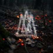 Puster Til Gløder cover image