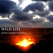 Wild Life cover image