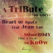 Somebody That I Used To Know: A Tribute To Gotye (Feat. Jean Luc) cover image
