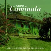 Música instrumental colombiana cover image