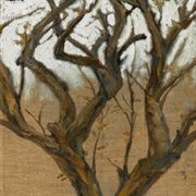 Mong Manh cover image