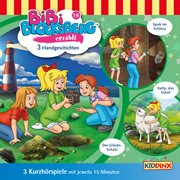 Kurzhörspiele : Bibi Erzählt. Irlandgeschichten cover image