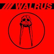 Walrus cover image