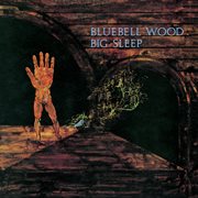 Bluebell wood cover image