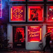 Pleasure palace cover image