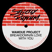 Breakdown / in love with you (remixes) cover image