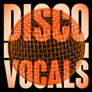 Disco vocals: soulful dancefloor cuts featuring 23 of the best grooves cover image