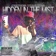 Hidden in the mist cover image