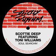 Soul searchin' (feat. toni williams) cover image