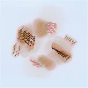 Forgettings cover image