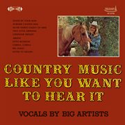 Country Music Like You Want To Hear It (Remaster From The Original Somerset Tapes) cover image
