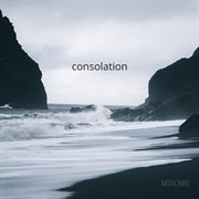 Consolation cover image