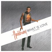 What Is Love (The Mixes) cover image