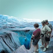 Minor cuts and scrapes in the bushes ahead cover image