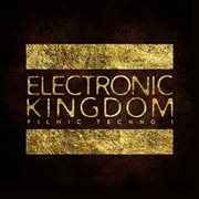 Electronic Kingdom cover image