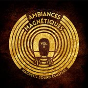 Ambiances Magnétiques - Magnetic Sound Clusters, Vol. Ii cover image
