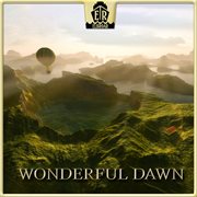 Wonderful Dawn cover image