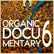 Organic Documentary 6 - Authentic Violin cover image