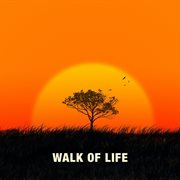 Walk Of Life cover image