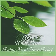 White Noise Rainy Night Stress Relief：Relaxing Forest Nature cover image