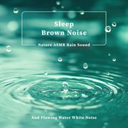 Sleep Brown Noise Nature Asmr Rain Sound And Flowing Water White Noise cover image