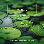 Endless Rain Sounds Pure Nature White Noise For Sleep cover image