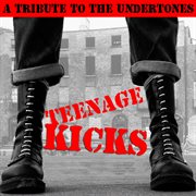 Teenage kicks: a tribute to the undertones cover image
