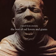 E-mail from eternity: the best of sad lovers and giants cover image