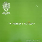 A perfect action (english cricket) cover image