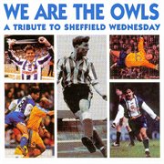 We are the owls cover image