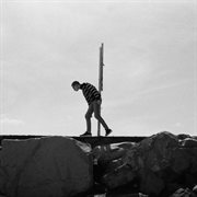 Gray Dens cover image