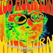 Too much sun will burn: the british psychedelic sounds of 1967, vol. 2 : the British psychedelic sounds of 1967 cover image