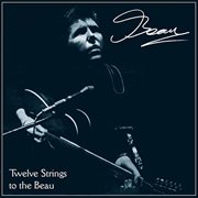 Twelve strings to the beau cover image