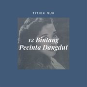 12 Bintang Pecinta Dangdut cover image