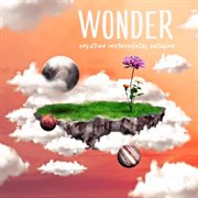 Wonder : Uplifting Instrumental Anthems cover image