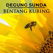 Degung Sunda Bentang Kuring cover image