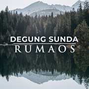 Degung Sunda Rumaos (feat. Barman S.) cover image