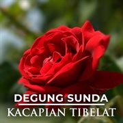Degung Sunda Kacapian Tibelat cover image