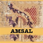 Amsal cover image