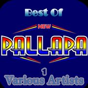 Best Of New Pallapa 1 cover image