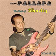New Pallapa (Duwe Tah Using) cover image