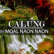Calung moal naon naon cover image