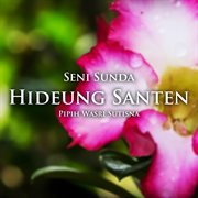 Seni Sunda Hideung Santen cover image
