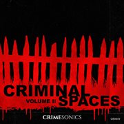 Criminal Spaces Vol. Ii cover image