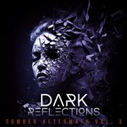 Dark Reflections - Somber Aftermath Vol. 3 cover image
