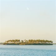 a sip of summer cover image